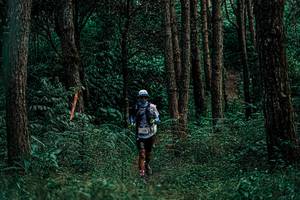 BIB: 
                            <button type="button" onclick="openModal(25236026)" class="btn btn-primary btn-sm float-right btn-popup" data-toggle="modal" data-target=".modal-high-quality">
                        <i class="fas fa-shopping-cart"></i> Add to Cart
                    </button>
                                            <button type="button" onclick="isThisMe(25236026, true)" class="btn btn-success btn-sm float-right btn-popup btn-isme hidden" data-toggle="tooltip" data-placement="bottom" title="นี่คือรูปของคุณใช่ไหม คลิกที่นี่เพื่อเอาเข้าอัลบั้ม">
                        <i class="fas fa-plus"></i> Add to album
                    </button>
                    <button type="button" onclick="isThisMe(25236026, false)" class="btn btn-warning btn-sm float-right btn-popup btn-isnotme hidden">
                        <i class="fas fa-ban"></i> Remove from album
                    </button>